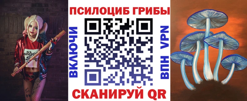 Купить где  Шацк  Галлюциногенные грибы прущие грибы 